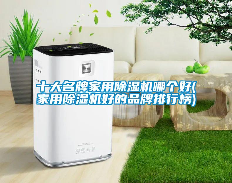 十大名牌家用除濕機(jī)哪個好(家用除濕機(jī)好的品牌排行榜)