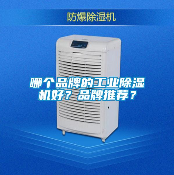哪個(gè)品牌的工業(yè)除濕機(jī)好？品牌推薦？