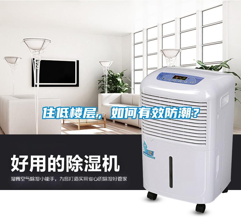 住低樓層，如何有效防潮？