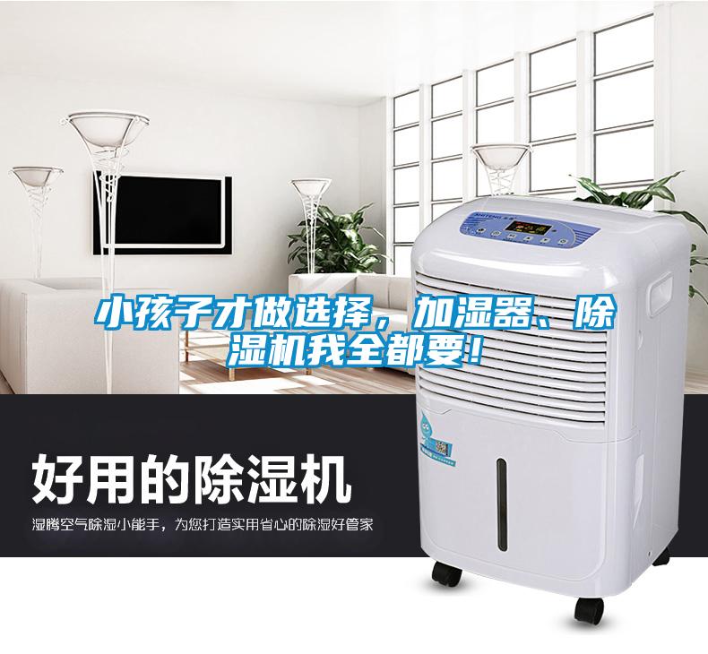 小孩子才做選擇，加濕器、除濕機我全都要！