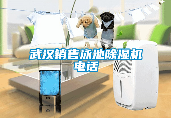 武漢銷售泳池除濕機(jī)電話