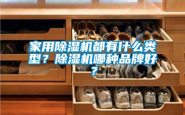 家用除濕機(jī)都有什么類型？除濕機(jī)哪種品牌好？