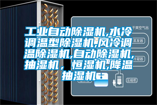 工業(yè)自動除濕機,水冷調溫型除濕機,風冷調溫除濕機,自動除濕機,抽濕機，恒濕機,降溫抽濕機