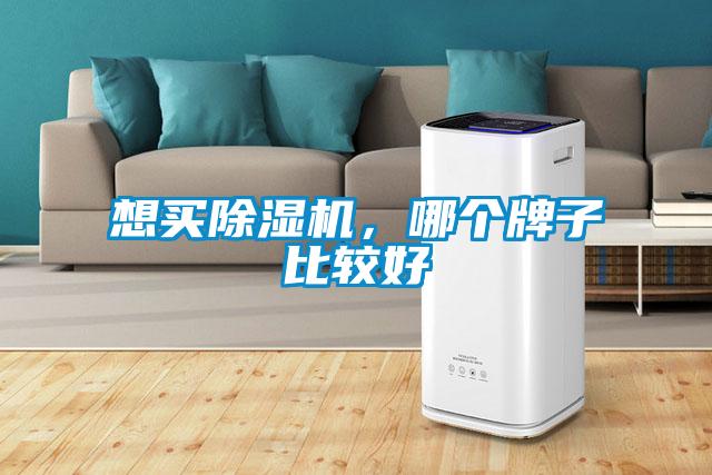 想買除濕機(jī)，哪個牌子比較好