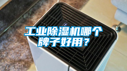 工業(yè)除濕機(jī)哪個牌子好用？