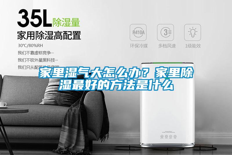 家里濕氣大怎么辦？家里除濕最好的方法是什么