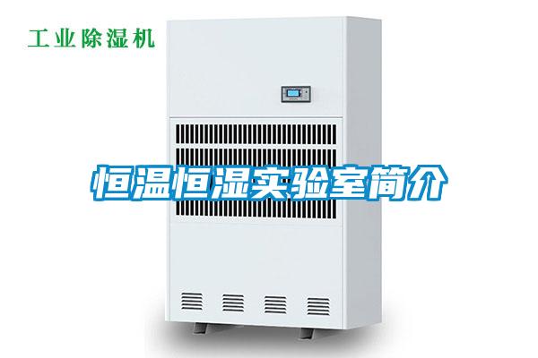 恒溫恒濕實(shí)驗(yàn)室簡介