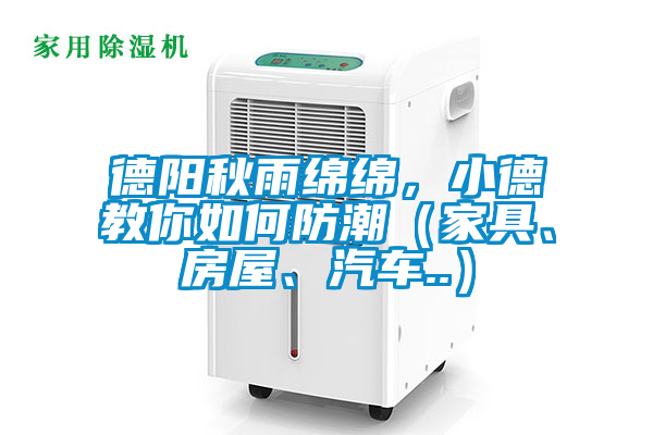 德陽秋雨綿綿，小德教你如何防潮（家具、房屋、汽車..）