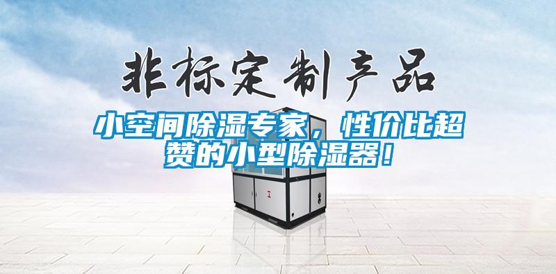 小空間除濕專家，性價比超贊的小型除濕器！