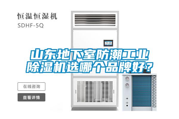 山東地下室防潮工業(yè)除濕機(jī)選哪個(gè)品牌好？