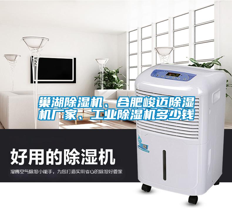 巢湖除濕機(jī)、合肥峻邁除濕機(jī)廠家、工業(yè)除濕機(jī)多少錢