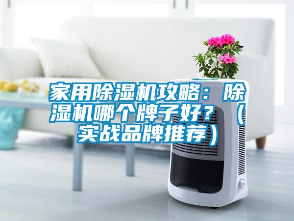 家用除濕機(jī)攻略：除濕機(jī)哪個牌子好？（實戰(zhàn)品牌推薦）
