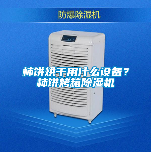 柿餅烘干用什么設(shè)備？柿餅烤箱除濕機