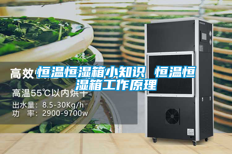 恒溫恒濕箱小知識(shí) 恒溫恒濕箱工作原理