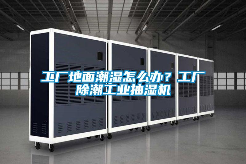 工廠地面潮濕怎么辦？工廠除潮工業(yè)抽濕機