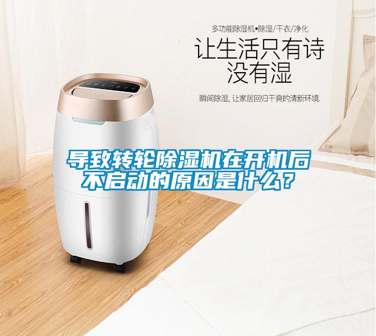導(dǎo)致轉(zhuǎn)輪除濕機在開機后不啟動的原因是什么？