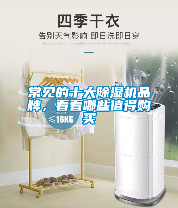 常見的十大除濕機品牌，看看哪些值得購買