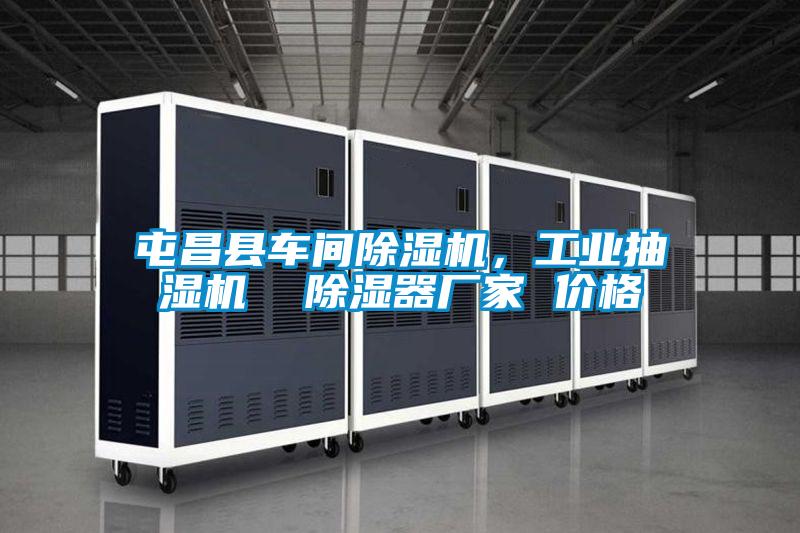屯昌縣車(chē)間除濕機(jī)，工業(yè)抽濕機(jī)  除濕器廠家 價(jià)格