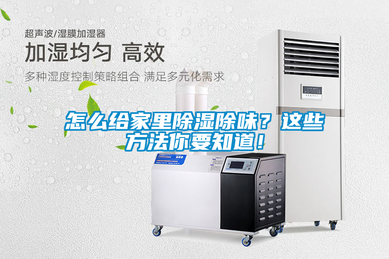 怎么給家里除濕除味？這些方法你要知道！