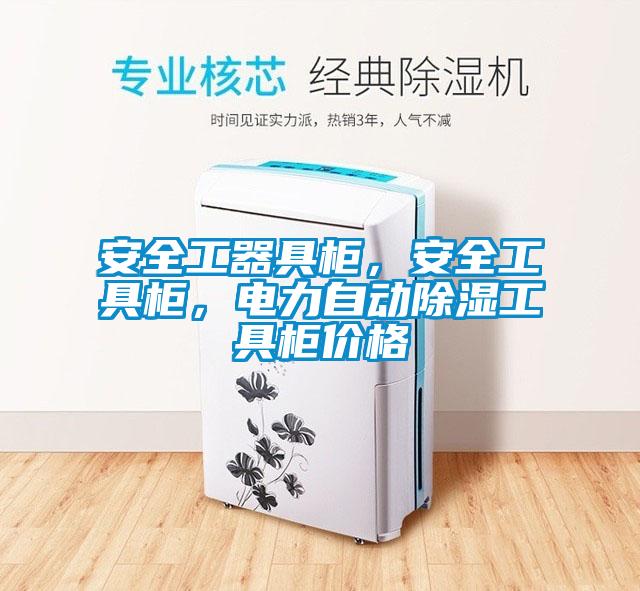 安全工器具柜，安全工具柜，電力自動(dòng)除濕工具柜價(jià)格