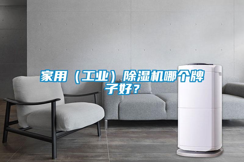 家用（工業(yè)）除濕機哪個牌子好？