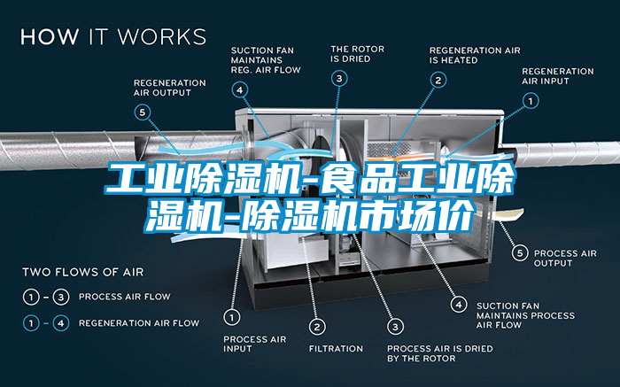工業(yè)除濕機(jī)-食品工業(yè)除濕機(jī)-除濕機(jī)市場價(jià)