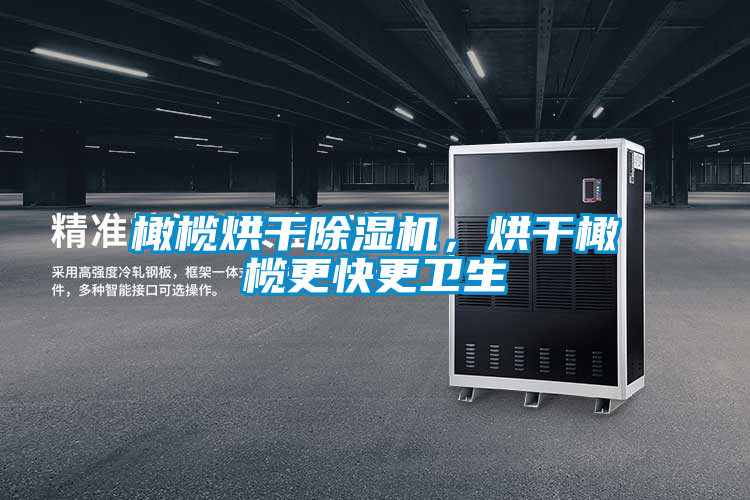 橄欖烘干除濕機，烘干橄欖更快更衛(wèi)生