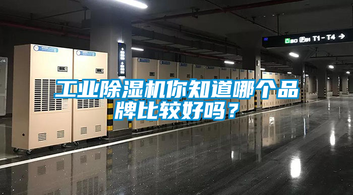工業(yè)除濕機(jī)你知道哪個品牌比較好嗎？