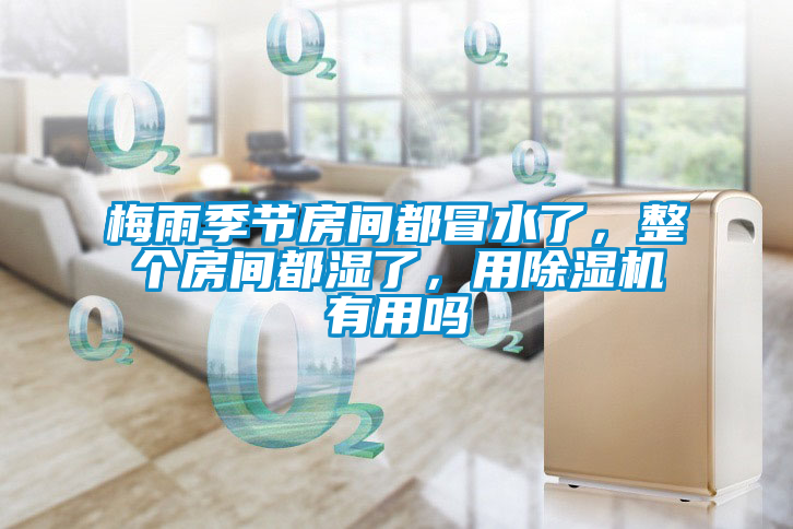 梅雨季節(jié)房間都冒水了，整個房間都濕了，用除濕機有用嗎
