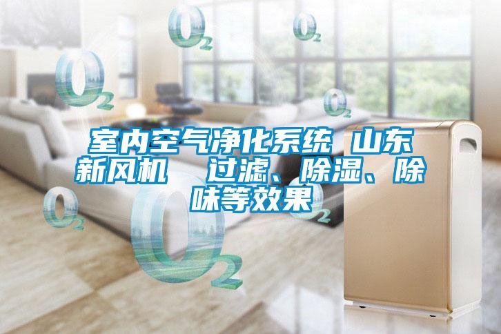 室內(nèi)空氣凈化系統(tǒng) 山東新風機  過濾、除濕、除味等效果