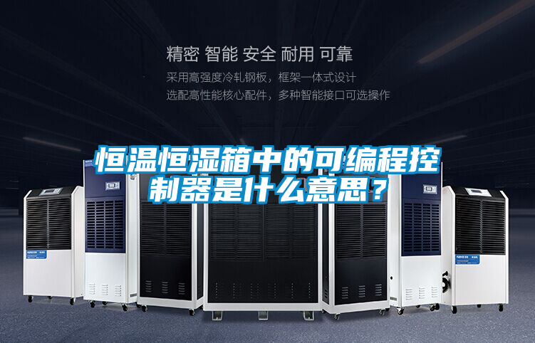 恒溫恒濕箱中的可編程控制器是什么意思？