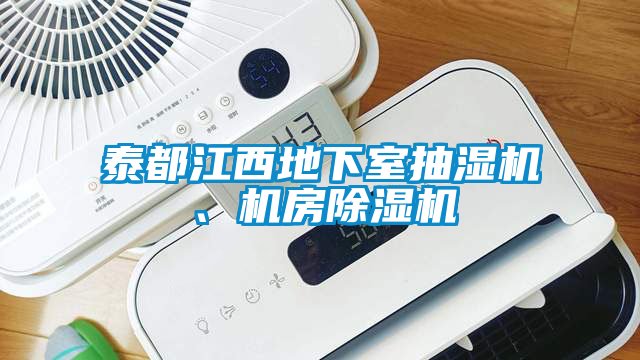 泰都江西地下室抽濕機、機房除濕機