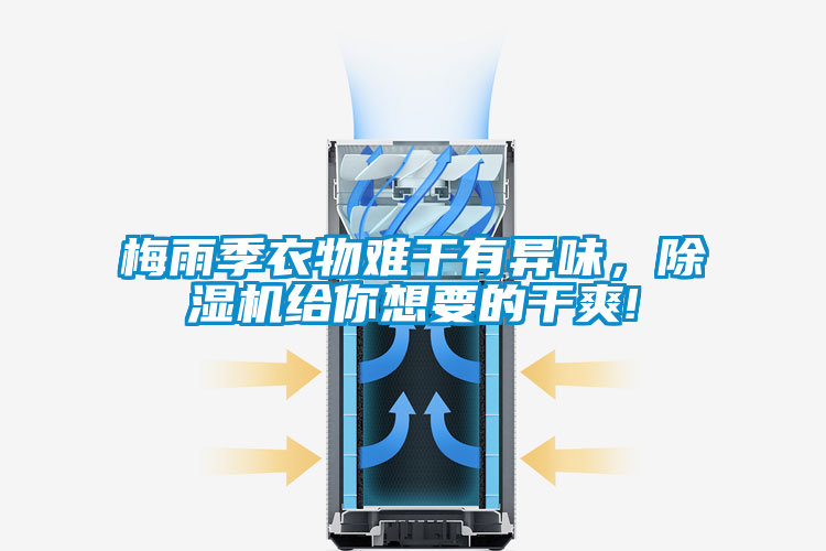 梅雨季衣物難干有異味，除濕機給你想要的干爽!
