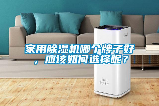 家用除濕機哪個牌子好，應(yīng)該如何選擇呢？