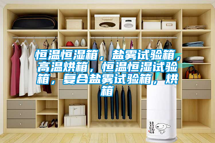 恒溫恒濕箱，鹽霧試驗(yàn)箱，高溫烘箱，恒溫恒濕試驗(yàn)箱，復(fù)合鹽霧試驗(yàn)箱，烘箱