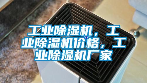 工業(yè)除濕機，工業(yè)除濕機價格，工業(yè)除濕機廠家