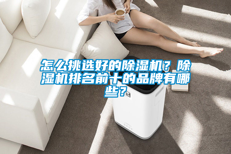怎么挑選好的除濕機？除濕機排名前十的品牌有哪些？