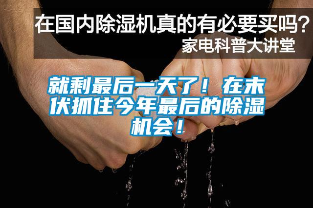 就剩最后一天了！在末伏抓住今年最后的除濕機會！