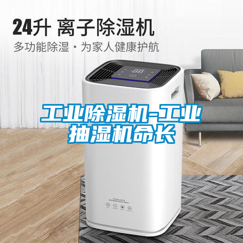 工業(yè)除濕機(jī)-工業(yè)抽濕機(jī)命長
