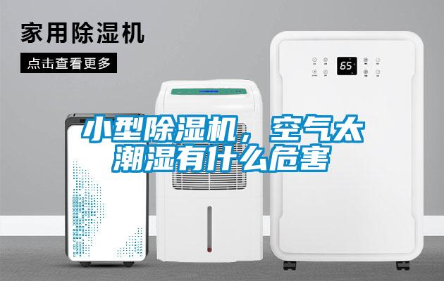 小型除濕機(jī)，空氣太潮濕有什么危害