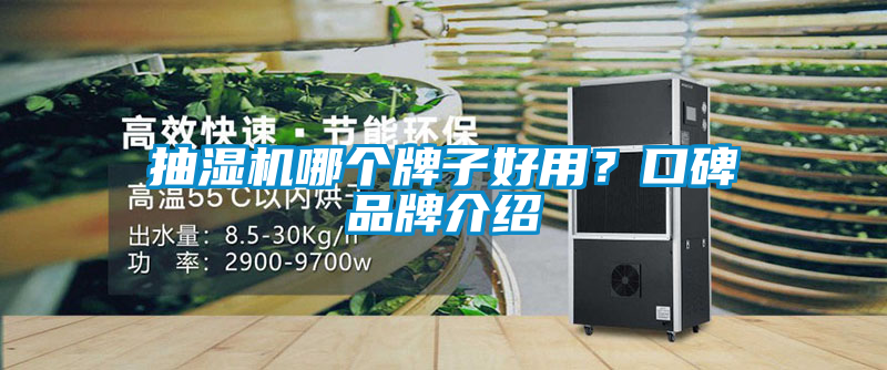 抽濕機(jī)哪個(gè)牌子好用？口碑品牌介紹