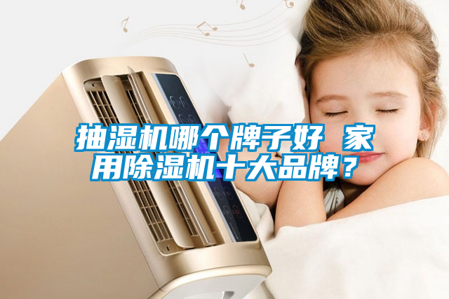 抽濕機哪個牌子好 家用除濕機十大品牌？