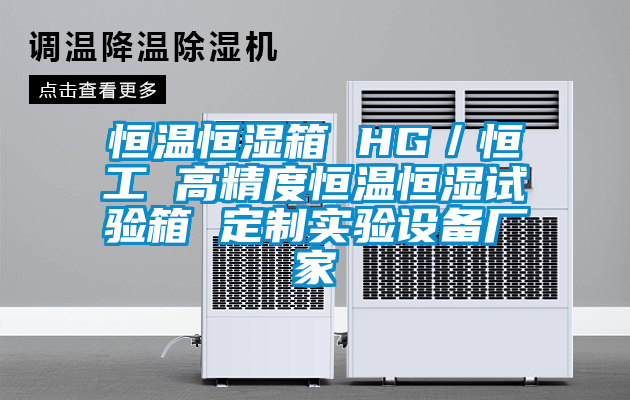 恒溫恒濕箱 HG／恒工 高精度恒溫恒濕試驗(yàn)箱 定制實(shí)驗(yàn)設(shè)備廠(chǎng)家