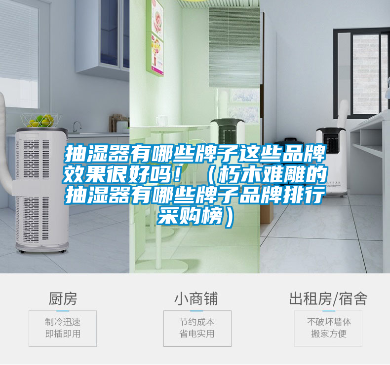 抽濕器有哪些牌子這些品牌效果很好嗎?。ㄐ嗄倦y雕的抽濕器有哪些牌子品牌排行采購榜）