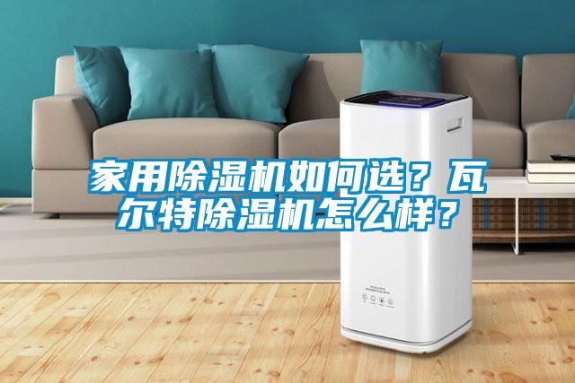 家用除濕機(jī)如何選？瓦爾特除濕機(jī)怎么樣？