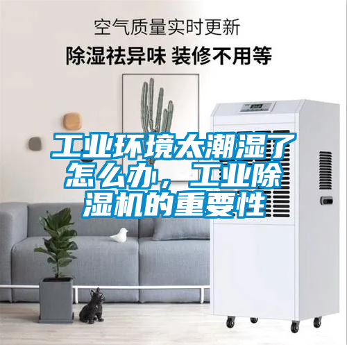 工業(yè)環(huán)境太潮濕了怎么辦，工業(yè)除濕機的重要性