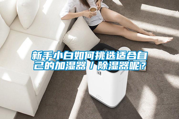新手小白如何挑選適合自己的加濕器／除濕器呢？