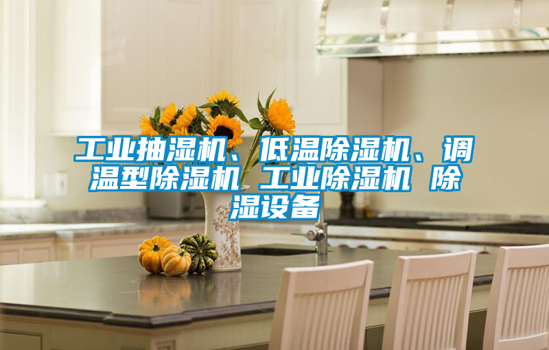 工業(yè)抽濕機、低溫除濕機、調溫型除濕機 工業(yè)除濕機 除濕設備