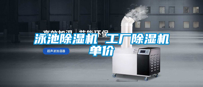 泳池除濕機(jī) 工廠(chǎng)除濕機(jī)單價(jià)