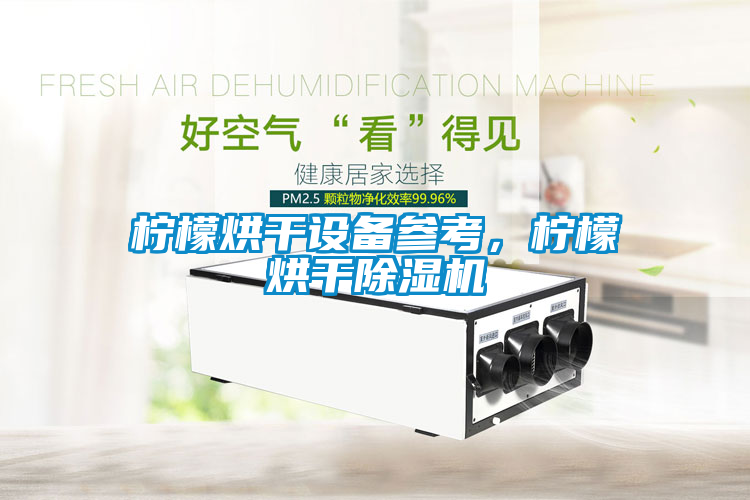 檸檬烘干設備參考，檸檬烘干除濕機